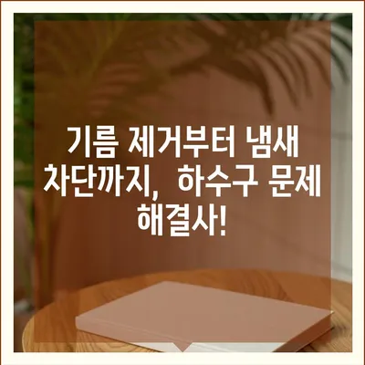 대전시 동구 홍도동 하수구막힘 | 가격 | 비용 | 기름제거 | 싱크대 | 변기 | 세면대 | 역류 | 냄새차단 | 2024 후기