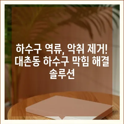 광주시 남구 대촌동 하수구막힘 | 가격 | 비용 | 기름제거 | 싱크대 | 변기 | 세면대 | 역류 | 냄새차단 | 2024 후기