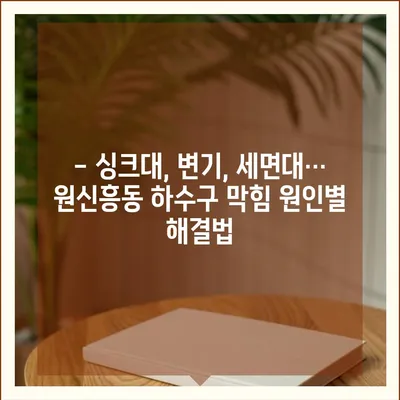 대전시 유성구 원신흥동 하수구막힘 | 가격 | 비용 | 기름제거 | 싱크대 | 변기 | 세면대 | 역류 | 냄새차단 | 2024 후기