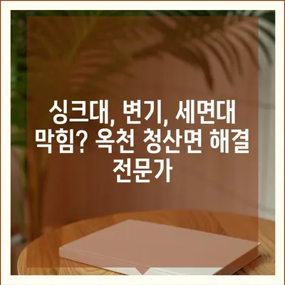 충청북도 옥천군 청산면 하수구막힘 | 가격 | 비용 | 기름제거 | 싱크대 | 변기 | 세면대 | 역류 | 냄새차단 | 2024 후기