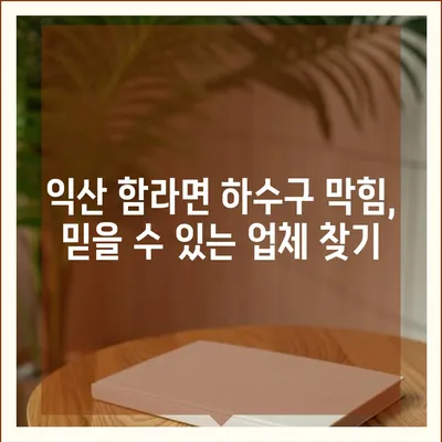 전라북도 익산시 함라면 하수구막힘 | 가격 | 비용 | 기름제거 | 싱크대 | 변기 | 세면대 | 역류 | 냄새차단 | 2024 후기