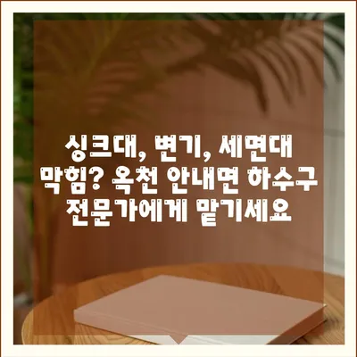 충청북도 옥천군 안내면 하수구막힘 | 가격 | 비용 | 기름제거 | 싱크대 | 변기 | 세면대 | 역류 | 냄새차단 | 2024 후기