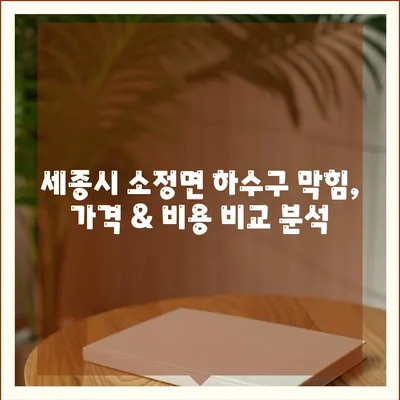 세종시 세종특별자치시 소정면 하수구막힘 | 가격 | 비용 | 기름제거 | 싱크대 | 변기 | 세면대 | 역류 | 냄새차단 | 2024 후기