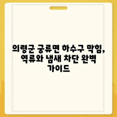 경상남도 의령군 궁류면 하수구막힘 | 가격 | 비용 | 기름제거 | 싱크대 | 변기 | 세면대 | 역류 | 냄새차단 | 2024 후기