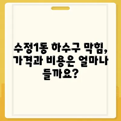 부산시 동구 수정1동 하수구막힘 | 가격 | 비용 | 기름제거 | 싱크대 | 변기 | 세면대 | 역류 | 냄새차단 | 2024 후기