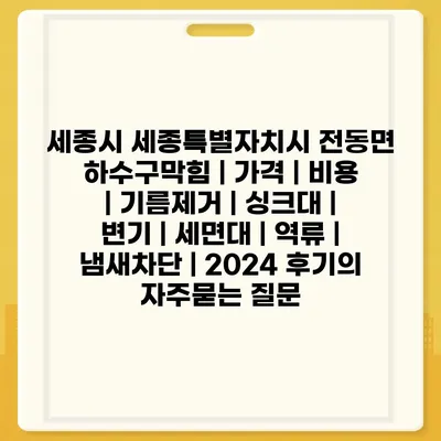 세종시 세종특별자치시 전동면 하수구막힘 | 가격 | 비용 | 기름제거 | 싱크대 | 변기 | 세면대 | 역류 | 냄새차단 | 2024 후기