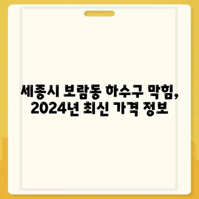 세종시 세종특별자치시 보람동 하수구막힘 | 가격 | 비용 | 기름제거 | 싱크대 | 변기 | 세면대 | 역류 | 냄새차단 | 2024 후기