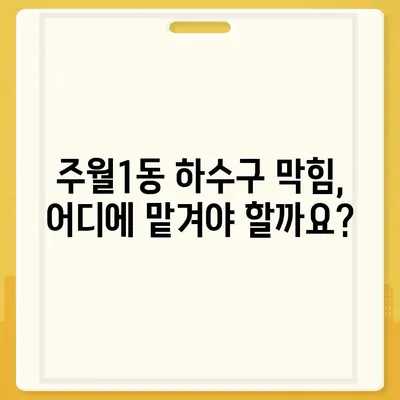 광주시 남구 주월1동 하수구막힘 | 가격 | 비용 | 기름제거 | 싱크대 | 변기 | 세면대 | 역류 | 냄새차단 | 2024 후기