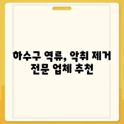 전라남도 장성군 서삼면 하수구막힘 | 가격 | 비용 | 기름제거 | 싱크대 | 변기 | 세면대 | 역류 | 냄새차단 | 2024 후기