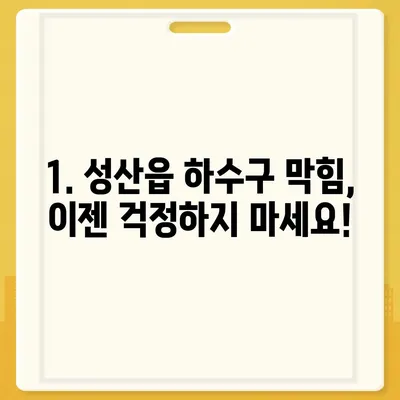 제주도 서귀포시 성산읍 하수구막힘 | 가격 | 비용 | 기름제거 | 싱크대 | 변기 | 세면대 | 역류 | 냄새차단 | 2024 후기