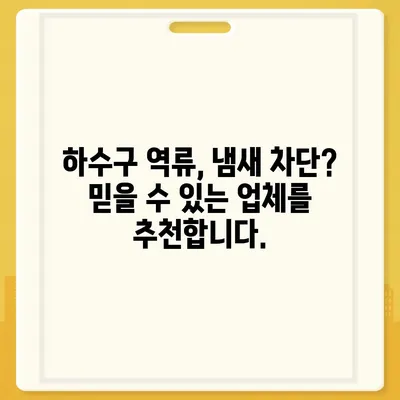 서울시 도봉구 쌍문4동 하수구막힘 | 가격 | 비용 | 기름제거 | 싱크대 | 변기 | 세면대 | 역류 | 냄새차단 | 2024 후기