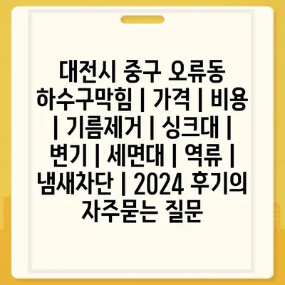 대전시 중구 오류동 하수구막힘 | 가격 | 비용 | 기름제거 | 싱크대 | 변기 | 세면대 | 역류 | 냄새차단 | 2024 후기