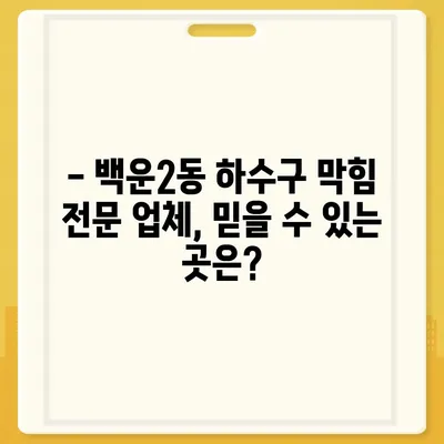 광주시 남구 백운2동 하수구막힘 | 가격 | 비용 | 기름제거 | 싱크대 | 변기 | 세면대 | 역류 | 냄새차단 | 2024 후기