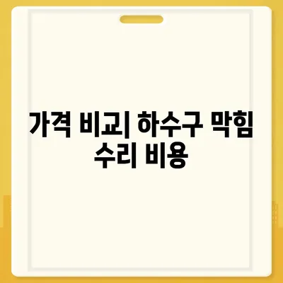 경상남도 함양군 병곡면 하수구막힘 | 가격 | 비용 | 기름제거 | 싱크대 | 변기 | 세면대 | 역류 | 냄새차단 | 2024 후기