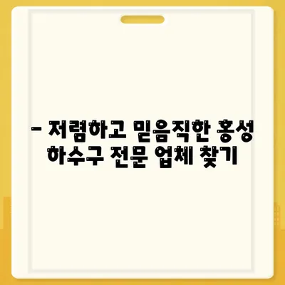 충청남도 홍성군 서부면 하수구막힘 | 가격 | 비용 | 기름제거 | 싱크대 | 변기 | 세면대 | 역류 | 냄새차단 | 2024 후기