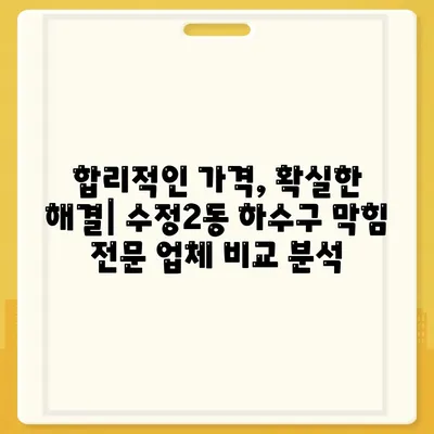 부산시 동구 수정2동 하수구막힘 | 가격 | 비용 | 기름제거 | 싱크대 | 변기 | 세면대 | 역류 | 냄새차단 | 2024 후기