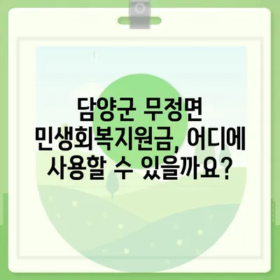 전라남도 담양군 무정면 민생회복지원금 | 신청 | 신청방법 | 대상 | 지급일 | 사용처 | 전국민 | 이재명 | 2024