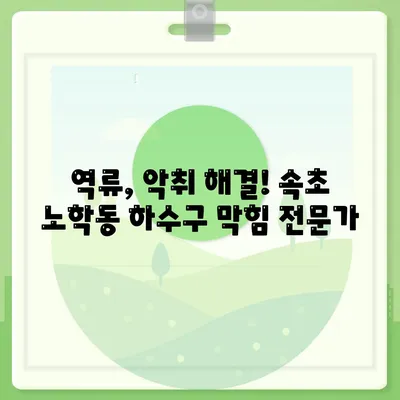 강원도 속초시 노학동 하수구막힘 | 가격 | 비용 | 기름제거 | 싱크대 | 변기 | 세면대 | 역류 | 냄새차단 | 2024 후기