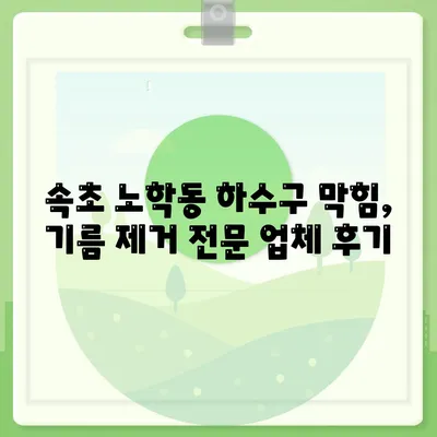 강원도 속초시 노학동 하수구막힘 | 가격 | 비용 | 기름제거 | 싱크대 | 변기 | 세면대 | 역류 | 냄새차단 | 2024 후기