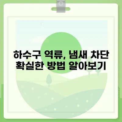 인천시 강화군 하점면 하수구막힘 | 가격 | 비용 | 기름제거 | 싱크대 | 변기 | 세면대 | 역류 | 냄새차단 | 2024 후기