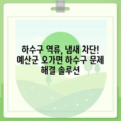 충청남도 예산군 오가면 하수구막힘 | 가격 | 비용 | 기름제거 | 싱크대 | 변기 | 세면대 | 역류 | 냄새차단 | 2024 후기