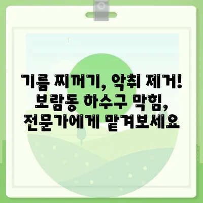 세종시 세종특별자치시 보람동 하수구막힘 | 가격 | 비용 | 기름제거 | 싱크대 | 변기 | 세면대 | 역류 | 냄새차단 | 2024 후기