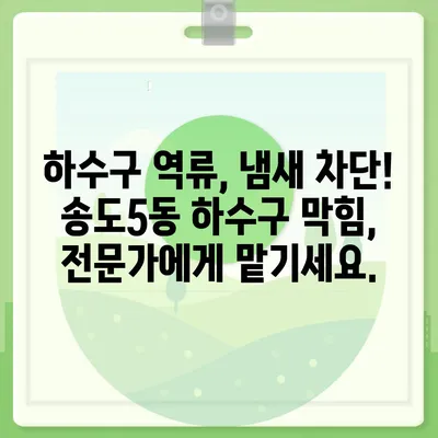 인천시 연수구 송도5동 하수구막힘 | 가격 | 비용 | 기름제거 | 싱크대 | 변기 | 세면대 | 역류 | 냄새차단 | 2024 후기