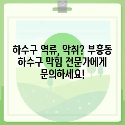 전라남도 목포시 부흥동 하수구막힘 | 가격 | 비용 | 기름제거 | 싱크대 | 변기 | 세면대 | 역류 | 냄새차단 | 2024 후기