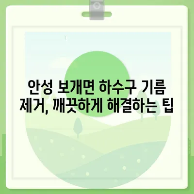 경기도 안성시 보개면 하수구막힘 | 가격 | 비용 | 기름제거 | 싱크대 | 변기 | 세면대 | 역류 | 냄새차단 | 2024 후기