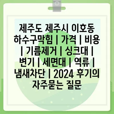 제주도 제주시 이호동 하수구막힘 | 가격 | 비용 | 기름제거 | 싱크대 | 변기 | 세면대 | 역류 | 냄새차단 | 2024 후기