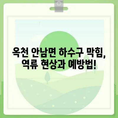 충청북도 옥천군 안남면 하수구막힘 | 가격 | 비용 | 기름제거 | 싱크대 | 변기 | 세면대 | 역류 | 냄새차단 | 2024 후기