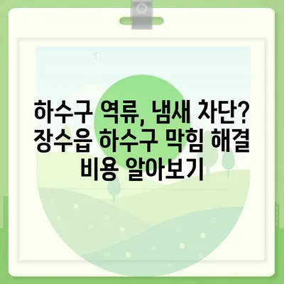 전라북도 장수군 장수읍 하수구막힘 | 가격 | 비용 | 기름제거 | 싱크대 | 변기 | 세면대 | 역류 | 냄새차단 | 2024 후기