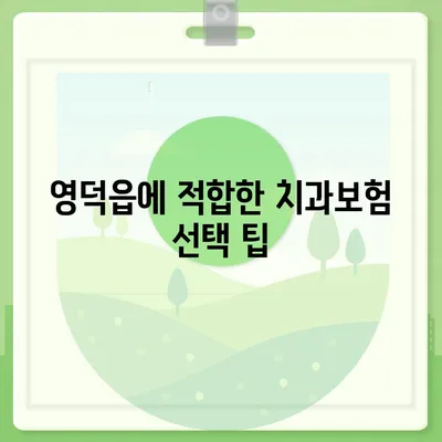 경상북도 영덕군 영덕읍 치아보험 가격 | 치과보험 | 추천 | 비교 | 에이스 | 라이나 | 가입조건 | 2024