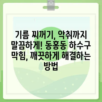 제주도 서귀포시 동홍동 하수구막힘 | 가격 | 비용 | 기름제거 | 싱크대 | 변기 | 세면대 | 역류 | 냄새차단 | 2024 후기