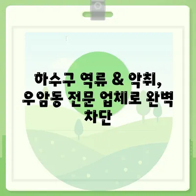 부산시 남구 우암동 하수구막힘 | 가격 | 비용 | 기름제거 | 싱크대 | 변기 | 세면대 | 역류 | 냄새차단 | 2024 후기