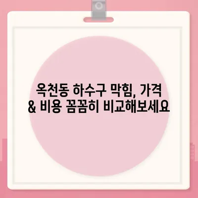 강원도 강릉시 옥천동 하수구막힘 | 가격 | 비용 | 기름제거 | 싱크대 | 변기 | 세면대 | 역류 | 냄새차단 | 2024 후기