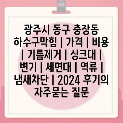 광주시 동구 충장동 하수구막힘 | 가격 | 비용 | 기름제거 | 싱크대 | 변기 | 세면대 | 역류 | 냄새차단 | 2024 후기