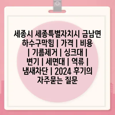 세종시 세종특별자치시 금남면 하수구막힘 | 가격 | 비용 | 기름제거 | 싱크대 | 변기 | 세면대 | 역류 | 냄새차단 | 2024 후기