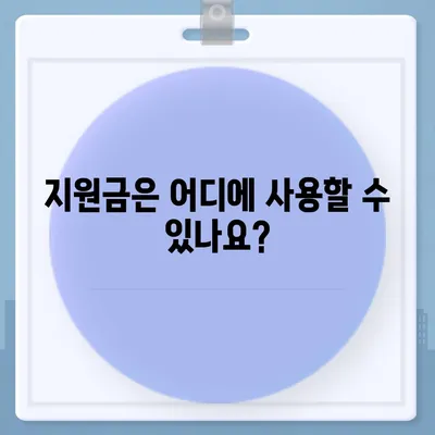 충청남도 서천군 판교면 민생회복지원금 | 신청 | 신청방법 | 대상 | 지급일 | 사용처 | 전국민 | 이재명 | 2024