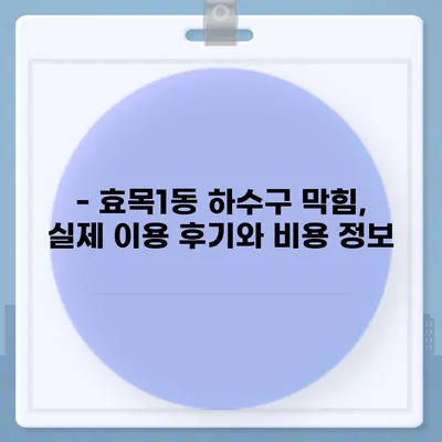 대구시 동구 효목1동 하수구막힘 | 가격 | 비용 | 기름제거 | 싱크대 | 변기 | 세면대 | 역류 | 냄새차단 | 2024 후기