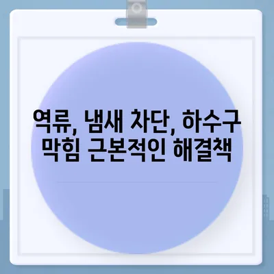 경기도 김포시 운양동 하수구막힘 | 가격 | 비용 | 기름제거 | 싱크대 | 변기 | 세면대 | 역류 | 냄새차단 | 2024 후기