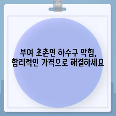 충청남도 부여군 초촌면 하수구막힘 | 가격 | 비용 | 기름제거 | 싱크대 | 변기 | 세면대 | 역류 | 냄새차단 | 2024 후기