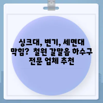 강원도 철원군 갈말읍 하수구막힘 | 가격 | 비용 | 기름제거 | 싱크대 | 변기 | 세면대 | 역류 | 냄새차단 | 2024 후기