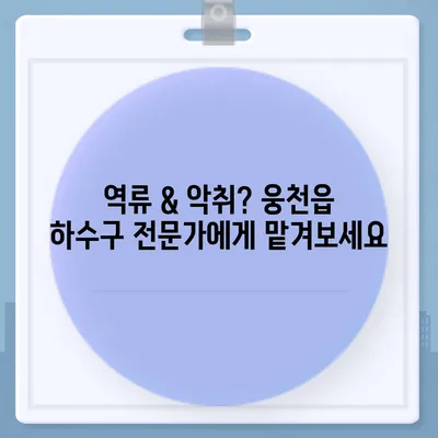 충청남도 보령시 웅천읍 하수구막힘 | 가격 | 비용 | 기름제거 | 싱크대 | 변기 | 세면대 | 역류 | 냄새차단 | 2024 후기