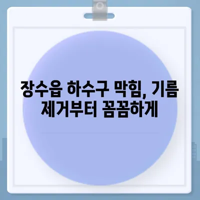 전라북도 장수군 장수읍 하수구막힘 | 가격 | 비용 | 기름제거 | 싱크대 | 변기 | 세면대 | 역류 | 냄새차단 | 2024 후기