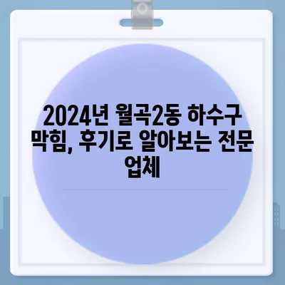 광주시 광산구 월곡2동 하수구막힘 | 가격 | 비용 | 기름제거 | 싱크대 | 변기 | 세면대 | 역류 | 냄새차단 | 2024 후기