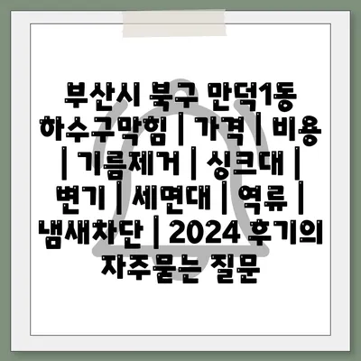 부산시 북구 만덕1동 하수구막힘 | 가격 | 비용 | 기름제거 | 싱크대 | 변기 | 세면대 | 역류 | 냄새차단 | 2024 후기