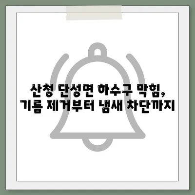 경상남도 산청군 단성면 하수구막힘 | 가격 | 비용 | 기름제거 | 싱크대 | 변기 | 세면대 | 역류 | 냄새차단 | 2024 후기