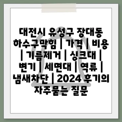 대전시 유성구 장대동 하수구막힘 | 가격 | 비용 | 기름제거 | 싱크대 | 변기 | 세면대 | 역류 | 냄새차단 | 2024 후기