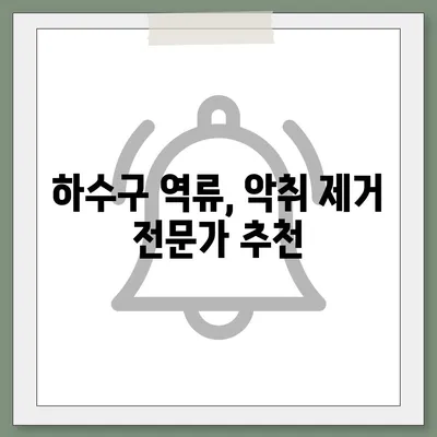 부산시 사상구 주례4동 하수구막힘 | 가격 | 비용 | 기름제거 | 싱크대 | 변기 | 세면대 | 역류 | 냄새차단 | 2024 후기